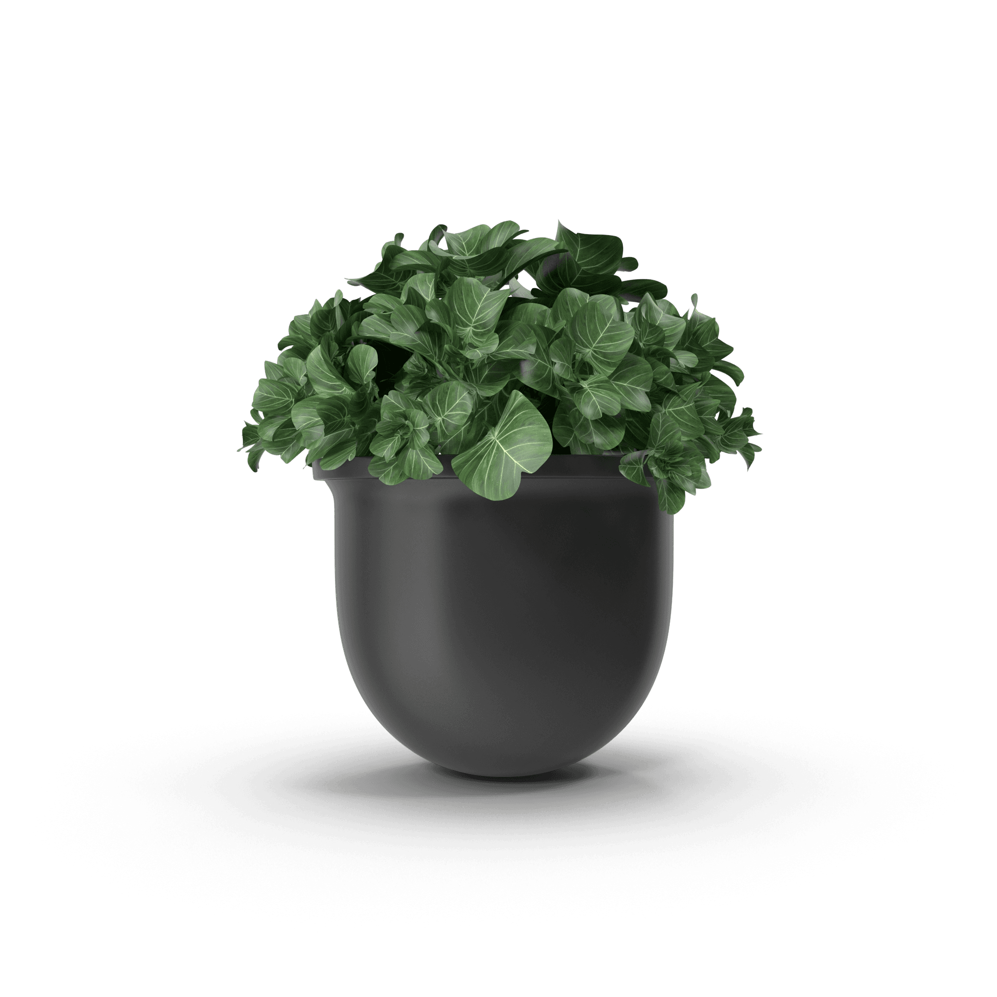 Plant Pot - Thumbnail 2